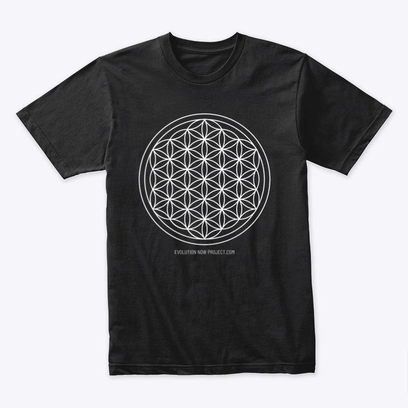 Flower of Life v1